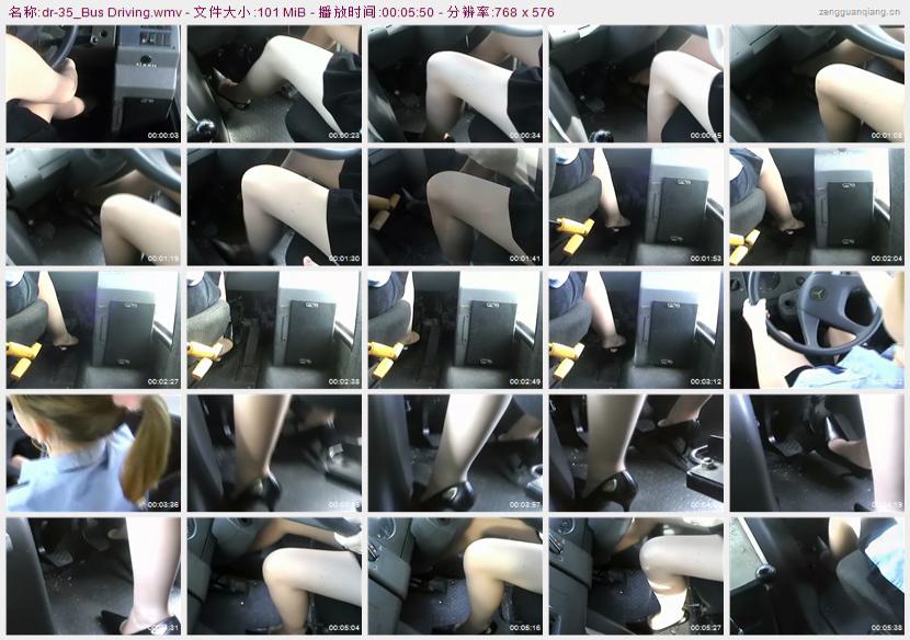 dr-35_Bus Driving